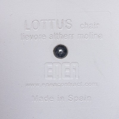 ENEA Lottus Spin Jaune / Blanc