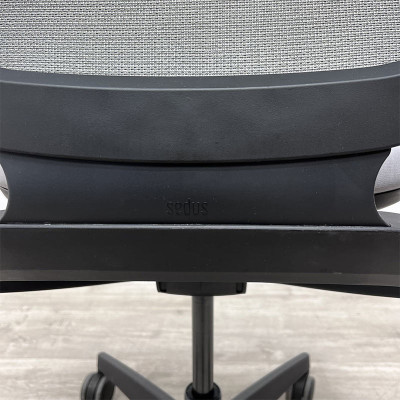 Sedus Flex 3D Gris + lombaire 