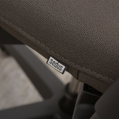 Sedus Netwin Taupe 3D