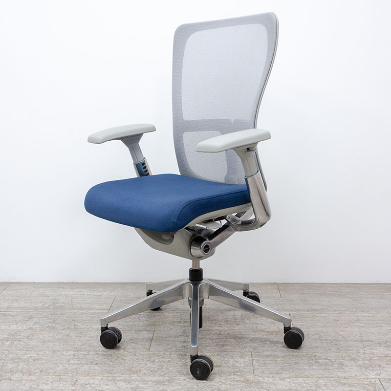 HAWORTH Zody Bleu / Gris