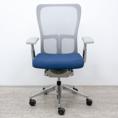 HAWORTH Zody Bleu / Gris