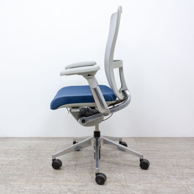 HAWORTH Zody Bleu / Gris