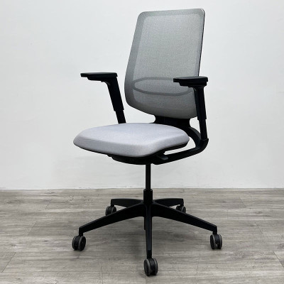 Sedus Flex 3D Gris + lombaire 