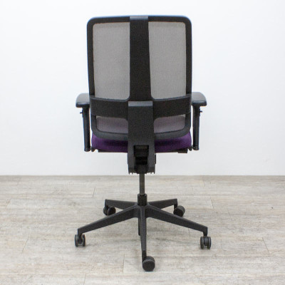 Majencia Drakkar violet gris 3D