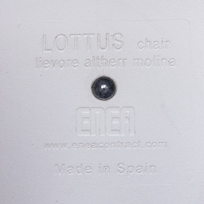 ENEA Lottus Spin Gris / Blanc