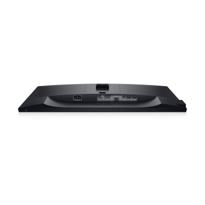 Dell P2319H