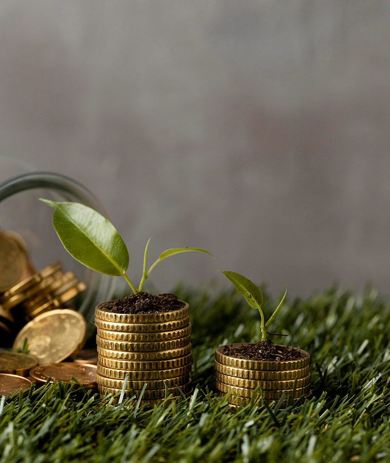 economie et ecologie