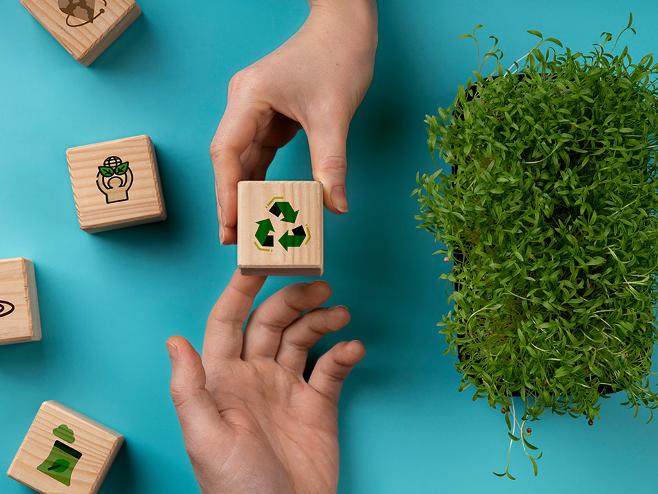 une main donne un cube en bois representant l'écologie
