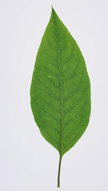 achat ecologique d' écran de PC