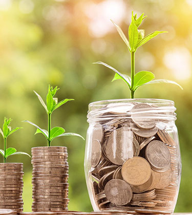 plante qui pousse dans un pot remplie de pièces