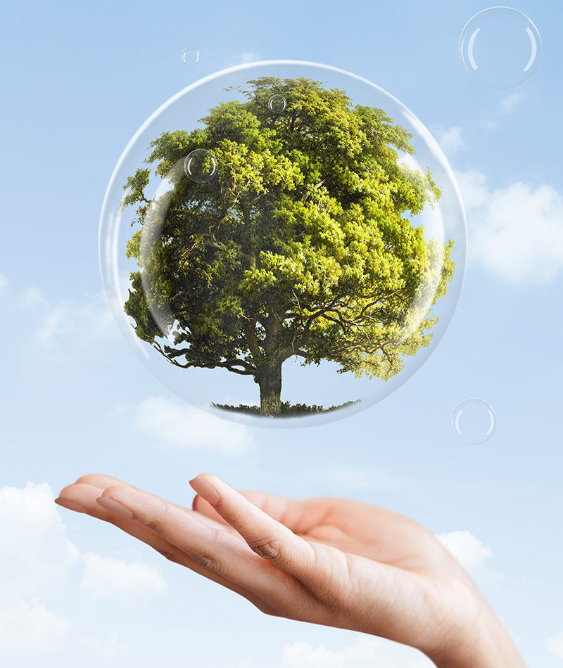 preservation de l'environnement