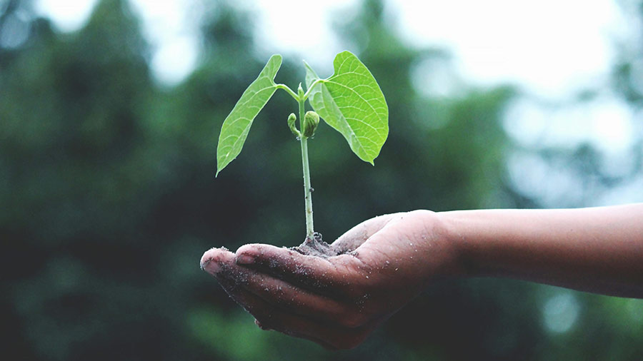 informatique durable