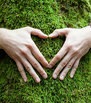 mains en forme de coeur autour d'un arbre