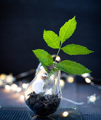  recyclage de mobilier