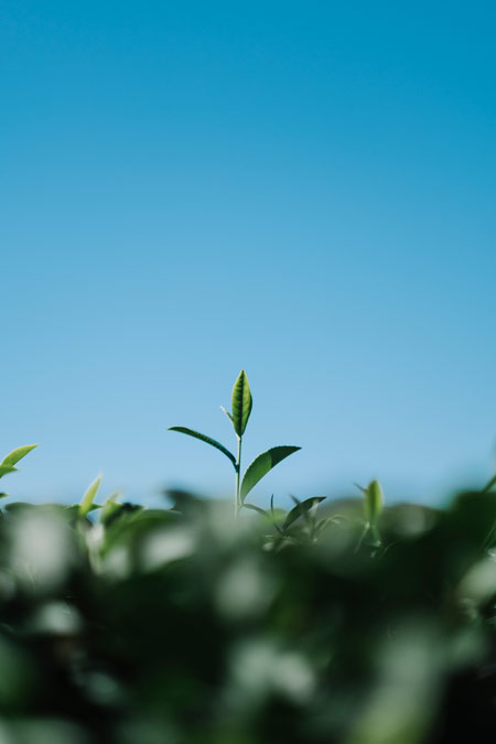  valorisation entreprise